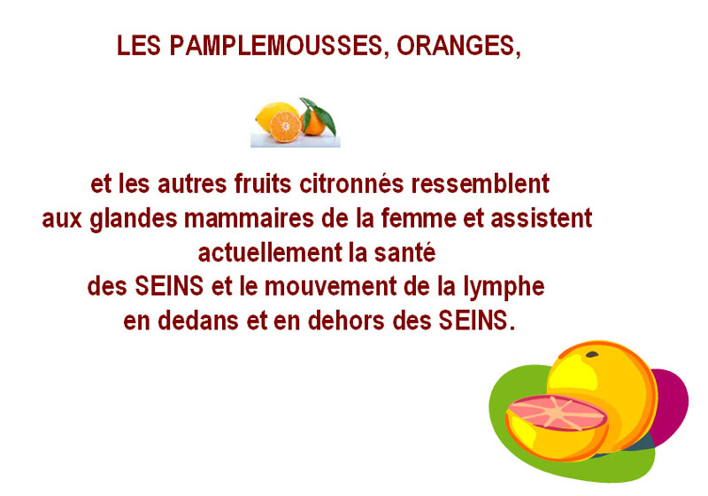 Pamplemousses, oranges