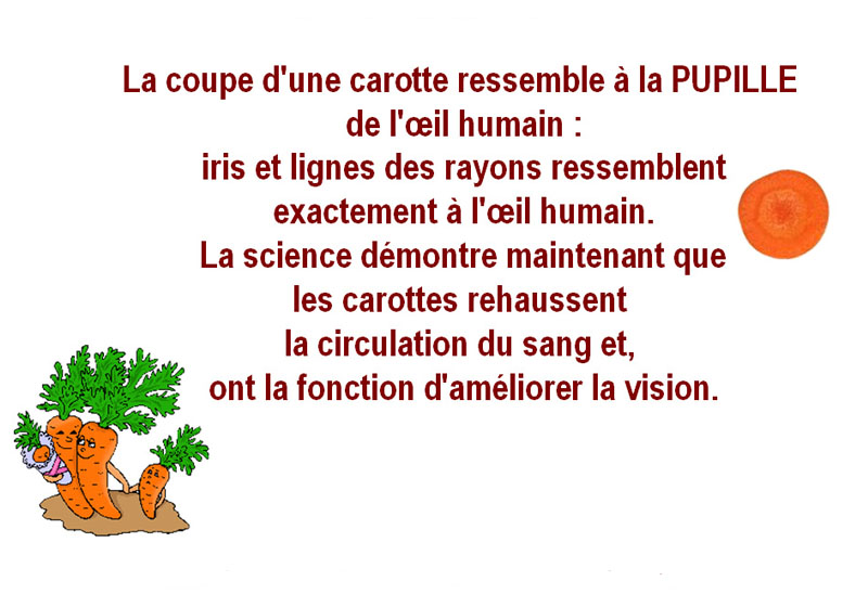 Carottes