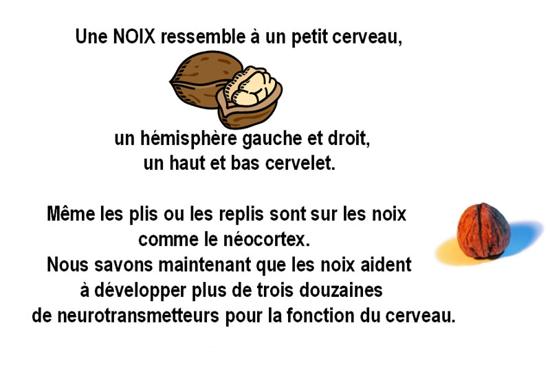 Noix