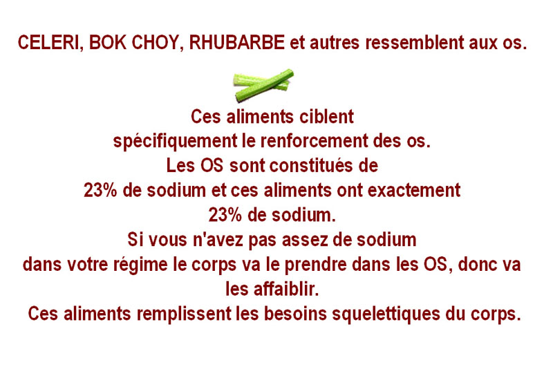 Celeri, Bok, Choy, Rhubarbe